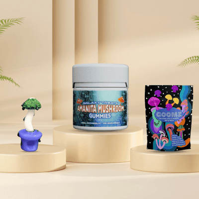 buy functional mushrooms