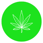 Horny Goat Weed Horny Goat Weed