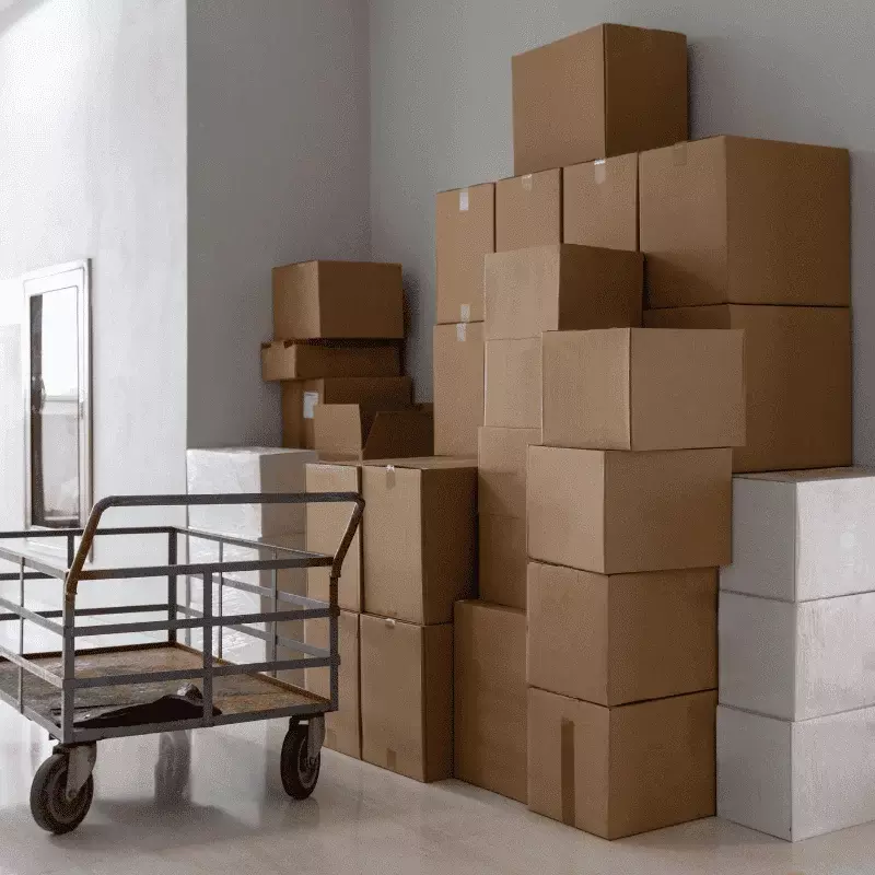 buy wholesale