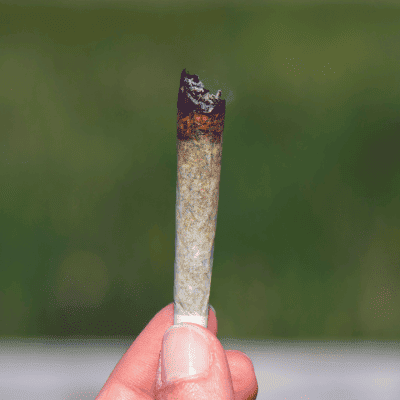 Know the Burn and Build Differences