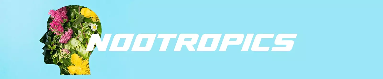 nootropics