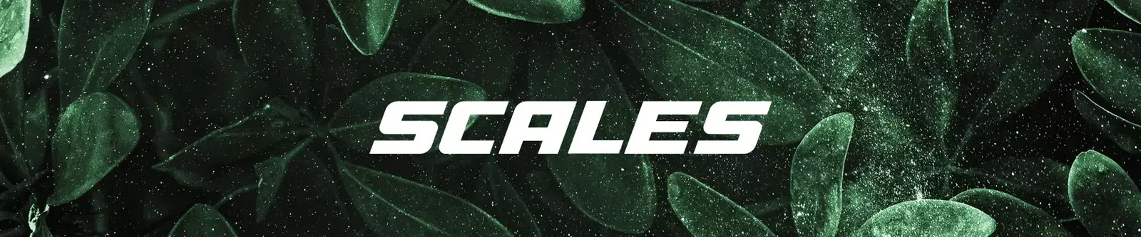 scales